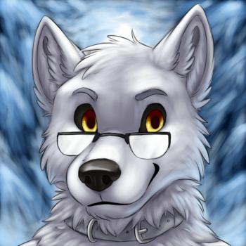 View stimkypawz's Gallery